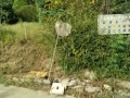 IMG_20260921_083445