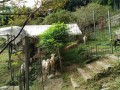 IMG_20260921_083557