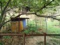 IMG_20260921_090619