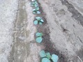 IMG_20260921_121528