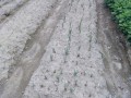 IMG_20260921_121539