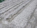 IMG_20260921_121541