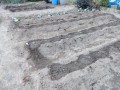 IMG_20260921_121547