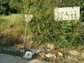 IMG_20260922_080549