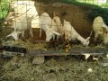 IMG_20260922_081055