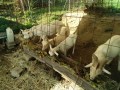 IMG_20260922_081102