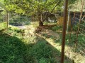 IMG_20260922_081116