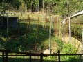 IMG_20260922_081226