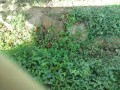 IMG_20260922_081231