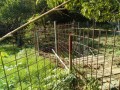 IMG_20260922_081238