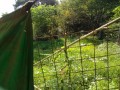 IMG_20260922_081241