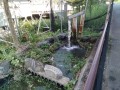IMG_20260922_085053