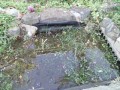 IMG_20260922_085059