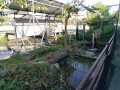 IMG_20260922_085119