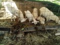 IMG_20260923_082501