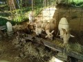 IMG_20260923_082508