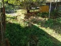 IMG_20260923_082521
