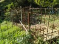 IMG_20260923_082538
