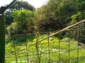 IMG_20260923_082540