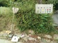 IMG_20260924_082526