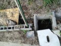IMG_20260924_082533