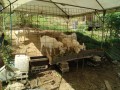 IMG_20260924_105248
