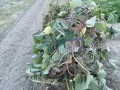 IMG_20260924_180127