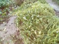 IMG_20260924_180155
