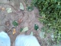 IMG_20260924_180213