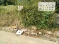 IMG_20260925_084944