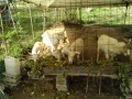 IMG_20260925_085658