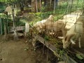 IMG_20260925_085708