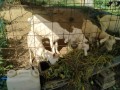 IMG_20260925_085717