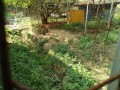 IMG_20260925_085721