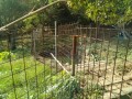 IMG_20260925_085735