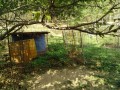 IMG_20260925_085738