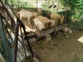 IMG_20260925_090814