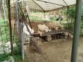 IMG_20260925_093208