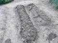 IMG_20260925_110813