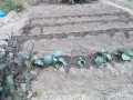 IMG_20260925_110815