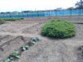 IMG_20260925_110822