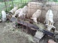 IMG_20260926_090155
