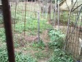 IMG_20260926_090218