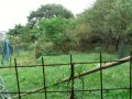 IMG_20260926_090251