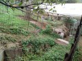 IMG_20260926_090258