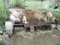 IMG_20260926_090319