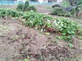 IMG_20260926_154711