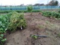 IMG_20260926_154713