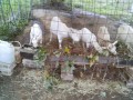 IMG_20260927_062124