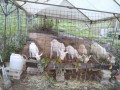 IMG_20260927_062142
